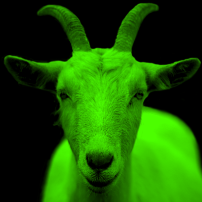 cryptgoat