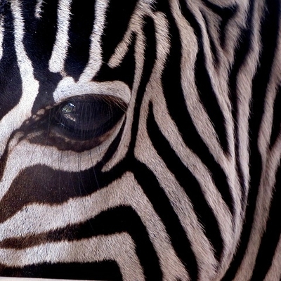 mararm@digitalcourage.social