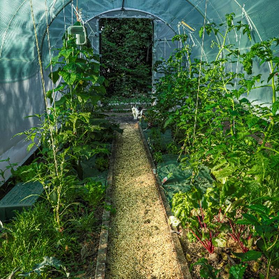 greenup@digitalcourage.social