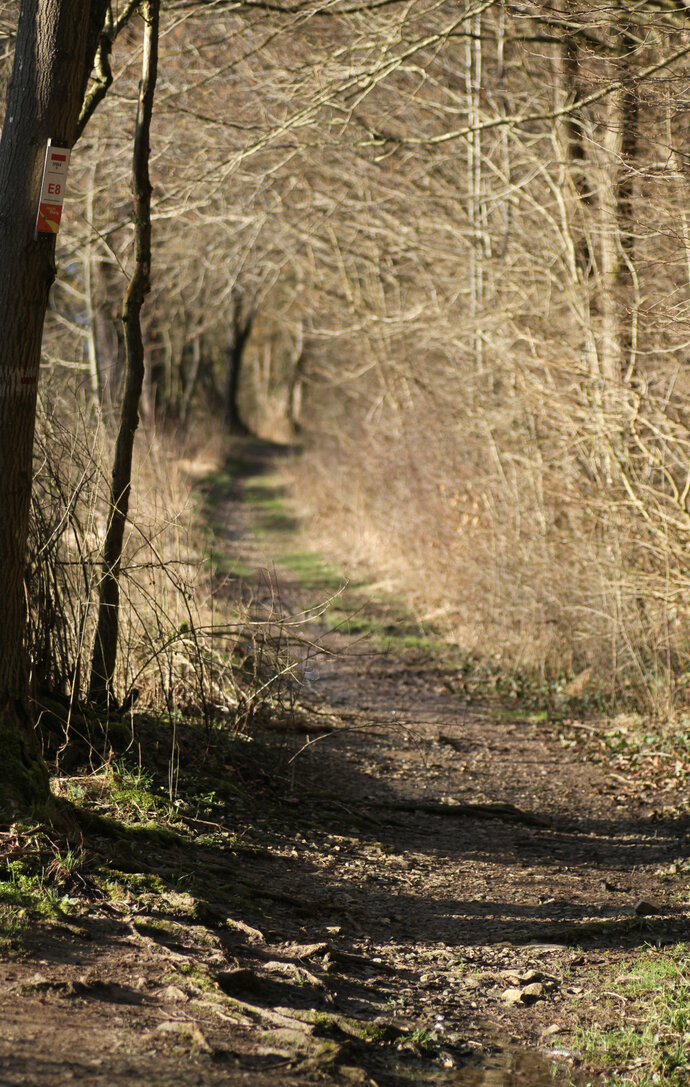 Header Image