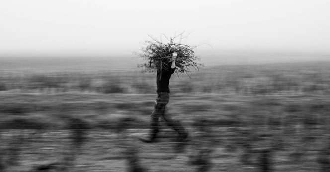 Expo photo - Michel Joly : En première ligne