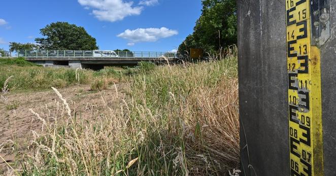 Ein Teilabschnitt des Flusses Schwarze Elster ist im Juni 2022 bereits ausgetrocknet.