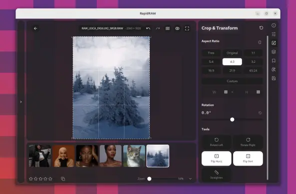 RapidRAW linux
