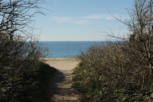Blick entlang eines schmalen Trampelpfads durch das Dickicht auf das Meer hinaus.