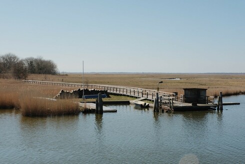 Anlegestelle zur Überführung von Rindern auf ihre Weidefläche auf dem Bodden.
