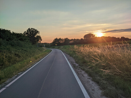Ein leerer Radweg zwischen Feldern, im Hintergrund Sonnenuntergang