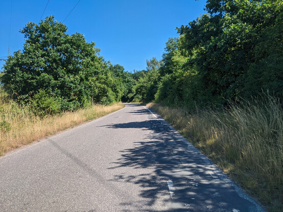 Ehemalige Landstraße, die nur noch zur Hälfte vorhanden und der Rest grün bewuchert ist