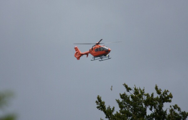Orangefarbener Rettungshubschrauber im Landeanflug. Darunter ein Raubvogel über Bäumen im Vordergrund.