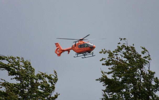 Orangefarbener Rettungshubschrauber im Landeanflug, davor zwei Bäume im Vordergrund.