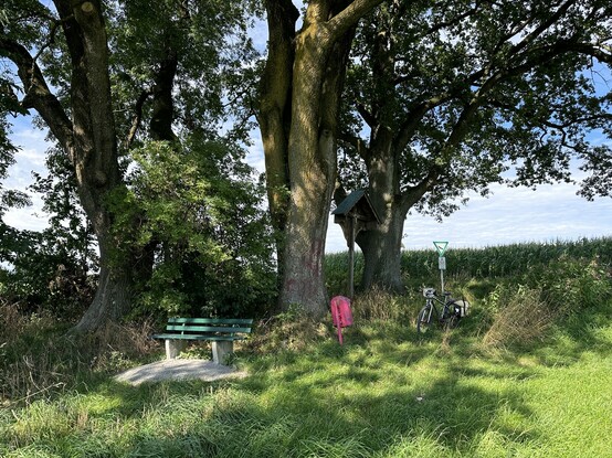 Bank, Wegkreuz, Fahrrad und roter Mülleimer unter Bäumen