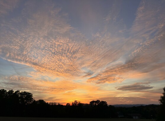 Gelb-oranger Sonnenuntergang unter leichten Wolken am blauen Resthimmel. Schwarzer Wald darunter.