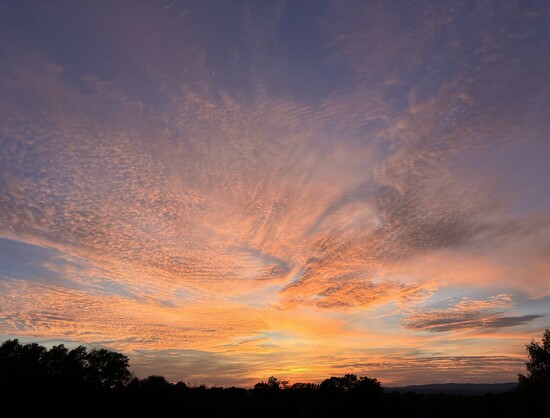 Orange-roter Sonnenuntergang unter leichten Wolken am blauen Resthimmel. Schwarzer Wald darunter.