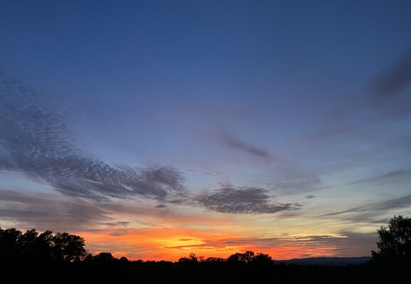 Reste des roten Sonnenuntergangs unter einigen grauen Wolken am abendblauen Himmel. Schwarzer Wald darunter.