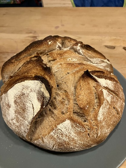 Ein rundes selbstgebackenes Weizenbrot, dass oben aufgebrochen und mehlbestäubt ist, auf einem grauen Teller auf einem Holztisch.