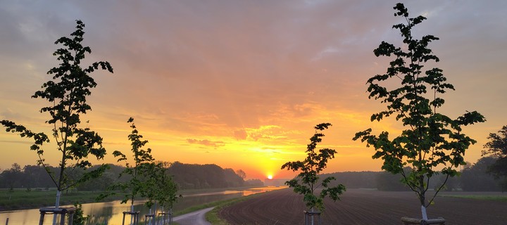 Sonnenaufgang über dem Kanal bei Münster 