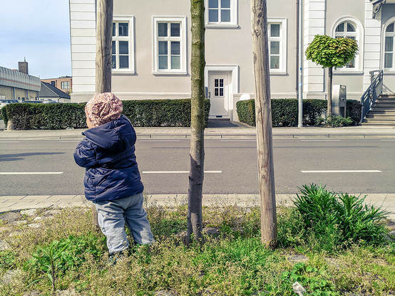 Am Straßenrand steht in einem winzigen Grünbereich ein junger Baum, dem zwei Pfähle links und rechts Schutz/Halt bieten sollen. Ein kleines Kind umarmt nacheinander jeden der 3 