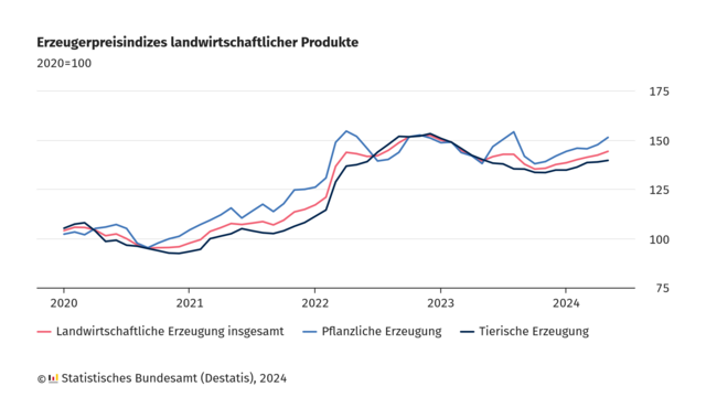 Die Grafik zeigt den Erzeugerpreisindex landwirtschaftlicher Produkte in Deutschland von 2020 bis 2024, wobei das Basisjahr 2020 mit einem Index von 100 angenommen wird. Drei Kategorien werden dargestellt:
1. Landwirtschaftliche Erzeugung insgesamt (rote Linie)
2. Pflanzliche Erzeugung (blaue Linie)
3. Tierische Erzeugung (dunkelblaue Linie)
Landwirtschaftliche Erzeugung insgesamt zeigt einen Anstieg ab 2021, erreicht einen Höchststand Ende 2022 bei etwa 150 und flacht dann leicht ab, bevor sie gegen Ende 2023 wieder ansteigt.
Pflanzliche Erzeugung zeigt ähnliche Muster wie die Gesamtproduktion, jedoch mit stärkeren Schwankungen und höheren Spitzenwerten, insbesondere Anfang 2022 und erneut Mitte 2023 und Mitte 2024.
Tierische Erzeugung zeigt ebenfalls einen Anstieg ab 2021, allerdings etwas gleichmäßiger im Vergleich zur pflanzlichen Erzeugung. Der Index erreicht seinen Höhepunkt Ende 2022 und fällt danach leicht ab, bleibt jedoch insgesamt über dem Ausgangswert von 2020.
Die Grafik wurde durch das Statistische Bundesamt im Jahr 2024 veröffentlicht.