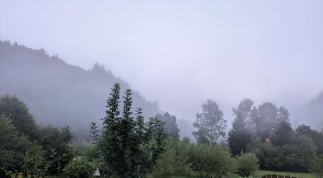 Bäume und Hecken im Vordergrund. Im Hintergrund bewaldete Hügel die im Nebel verschwinden.