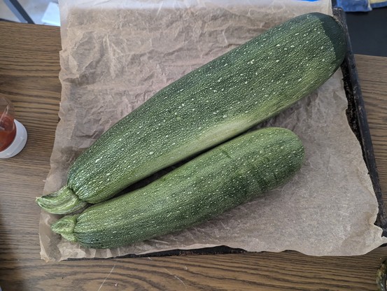 2 Zucchini (1 große und eine sehr große)