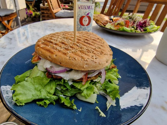 Hanfburger Auf blauem Teller