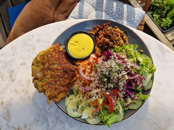 Hanfpatty, Seitan, Salat mit Sauce auf einem Teller 