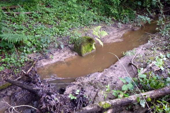 Offensichtlich alter Grenzstein steht in einem kleinen Bach. Auf dem keinen Stein wachsen Moos und Farn.