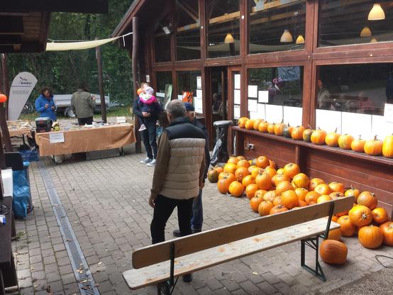 120 große bis sehr große Kürbisse stehen aufgetürmt am Eingang der Brunnenfeld-Hütte und warten darauf geschnitzt zu werden. Drinnen gibt es Kürbissuppe und Kuchen. Alles selbstgemacht von freiwilligen Spendern. Auf der anderen Seite ist der NABU Stand mit Infomaterial und Nistkästen zum anschauen und anfassen.