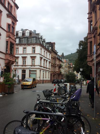 Links und rechts Altbauten. Hier wohnt Heidelberg. Es ist eine ruhige Seitenstraße, man kann den Nieselregen riechen. Am rechten Straßenrand parken viele Fahrräder mit Kindersitzen und Lastenräder. Dahinter eine alte schwarze Straßenlaterne und ein großer alter Laubbaum. Im Hintergrund sieht man Wolken tief im bergigen Odenwald hängen