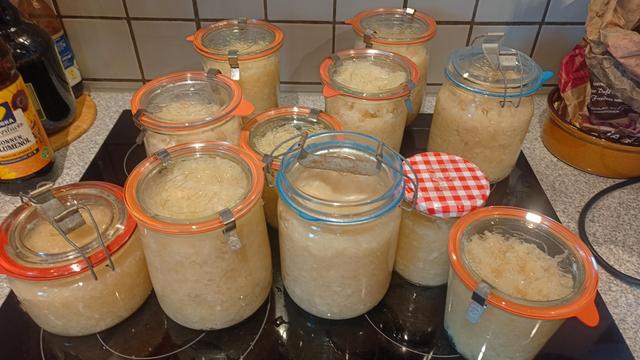 Weckgläser mit Sauerkraut