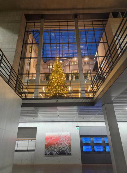 Foto eines Weihnachtsbaums im Jakob-Kaiser-Haus des Deutschen Bundestags
© Dr. Christopher Paun