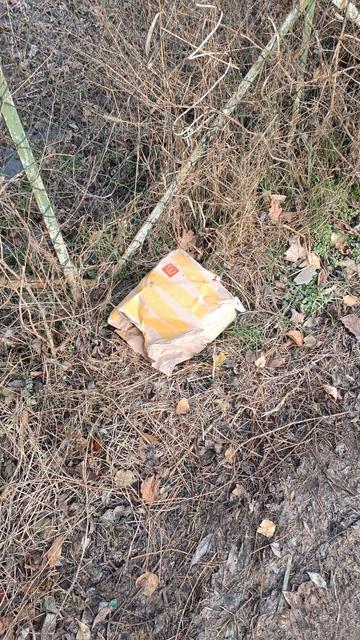 McDonaldstüte in der Wildnis
