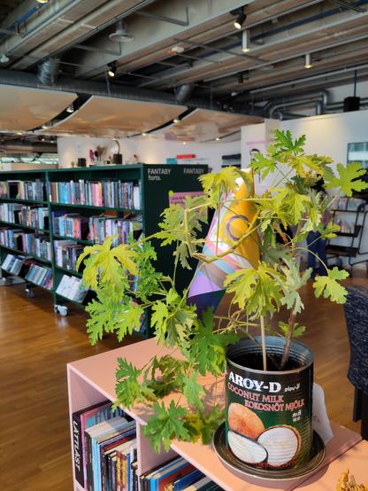 Books, and a plant inside a coconut milk can and an LGBTQ* flag