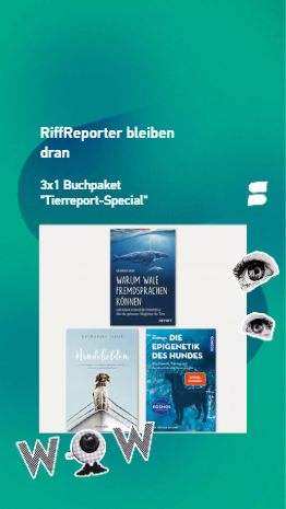 Zwei Bücher von Katharina Jakob und ein Buch von Peter Spork