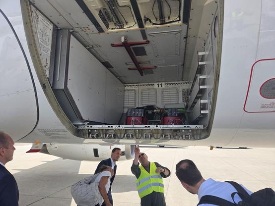 Airbus A319 Offener Himmel (A319OH), Ansicht der Kameras 