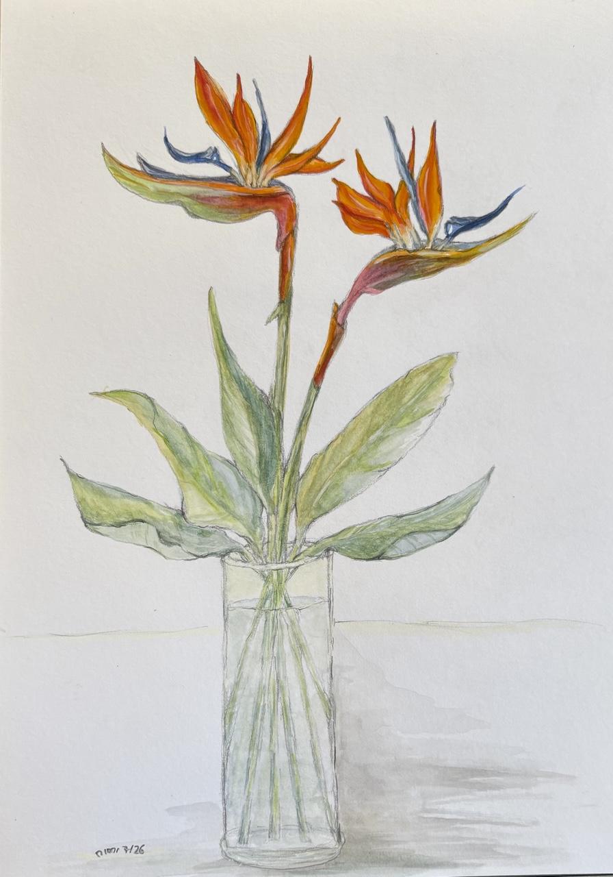 Aquarell wie im Ausgangsgetröt 😅, mit kleinen farb-und konturveränderungen