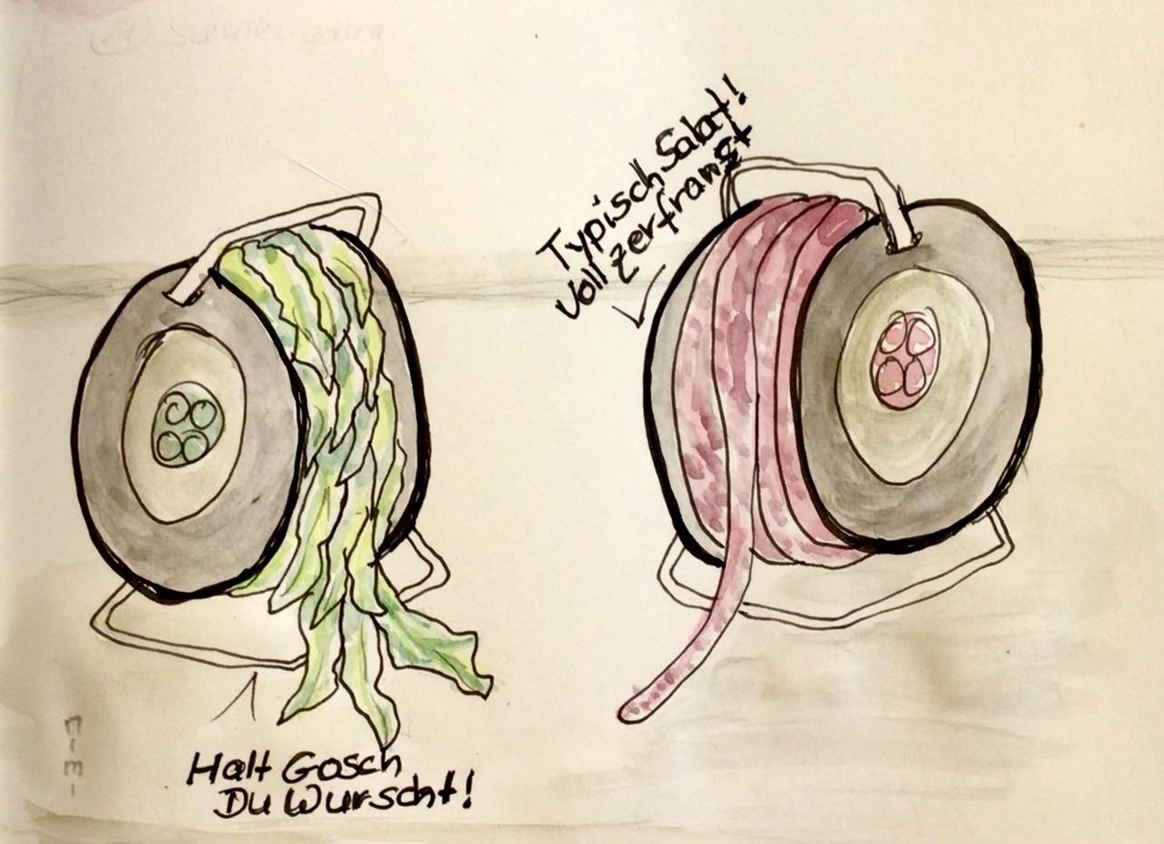 Einfache Zeichnung aquarelliert Cartoonart. Rechts steht eine Kabelrolle, darauf gewickelt eine dünne, lange rötliche Wurst. Links eine weitere Kabelrolle, auf dieser grüne Salatblätter. Die rechte Kabelrolle „sagt“: Typisch Salat! Voll zerfranst. Die linke „antwortet“: Halt Gosch Du Wurscht!